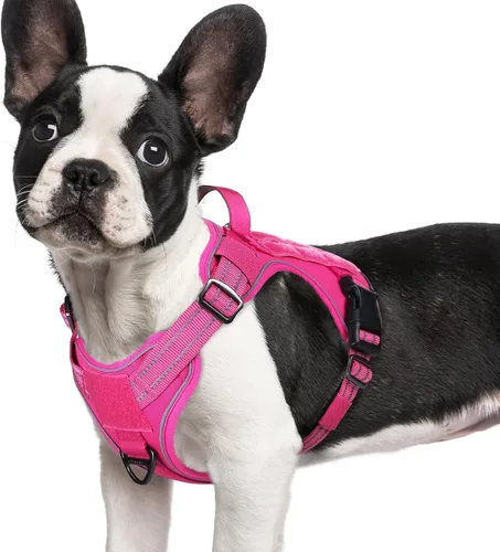 Vista 35 de rabbitgoo - Arnés para perros pequeño sin tirones, chaleco táctico de servicio con Molle y asa de control, arnés militar ajustable y reflectante