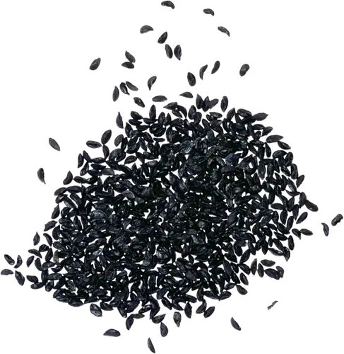 Vista 5 de Seed Needs Semillas de cebollino para plantar cebollino común, semillas de hierbas sin OMG y sin tratar para plantar un jardín de hierbas culinarias