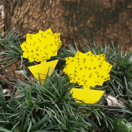 Vista 2 de Garsum Trampa para Moscas de la Fruta Amarilla Pegajosa 18 piezas Matamoscas de Hongos para Plantas de Interior y Exterior Atrapador de Insectos