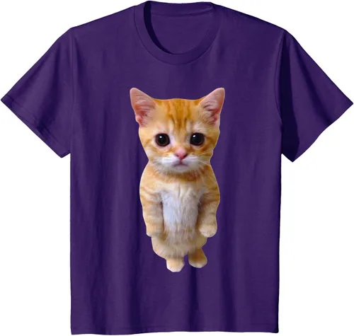 Vista 23 de El Gato Meme Sad Crying Cat Munchkin Kitty Meme Camiseta de moda Small Negro