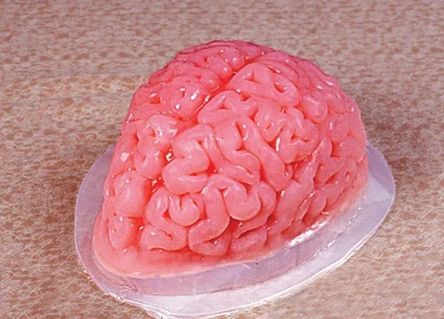 Vista 2 de ST- Molde con forma de cerebro para hacer gelatina