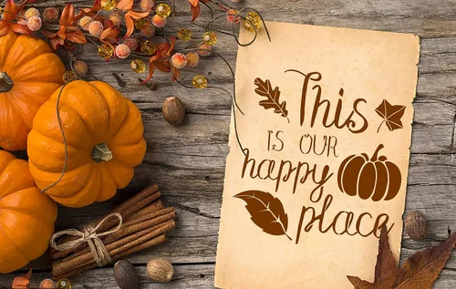 Vista 4 de 8 plantillas de pintura de otoño y otoño, plantillas de dibujo de Acción de Gracias, plantillas de plástico para manualidades, decoración del hogar