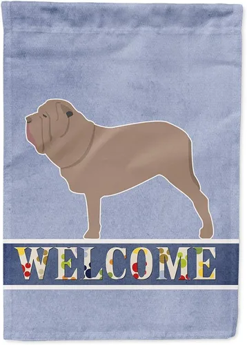 Vista 90 de Caroline's Treasures BB5552GF Affenpinscher Bandera de bienvenida para jardín, bandera decorativa para patio exterior, patio, parterres