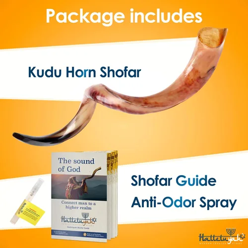 Vista 6 de HalleluYAH Shofar kudu original totalmente pulido Kosher de Israel