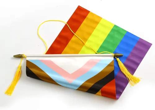Vista 5 de CANTENDO Paquete de 2 banderas de pared con diseño de arco iris del progreso del orgullo progresivo, bandera colgante gay LGBTQ con poste colgante