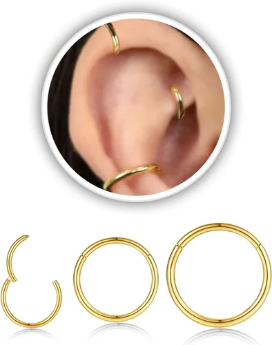 Vista 13 de Nose Rings Hoop and Nose Studs Sets for Women Men,Hypoallergenic 316L Surgical Stainless Steel Hinged Clicker Segment Nose Rings Hoop Helix