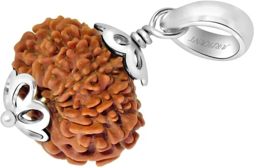 Vista 3 de 13 Mukhi Rudraksha - Colgante de plata 925 Thirteen Mukhi Nepali Rudraksha Cuentas sueltas Rudrakalagni Unisex tanto para hombres como
