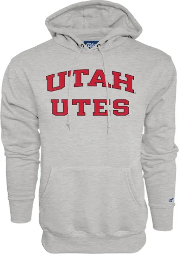 Vista 9 de Blue 84 Sudadera con capucha Alabama Crimson Tide Arched Grey para hombre
