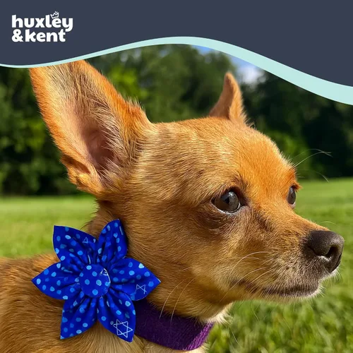 Vista 3 de Huxley & Kent Lazo de molinete para mascotas para perros y gatos – Accesorio de collar de gancho y bucle ajustable para vacaciones – Lindo y cómodo