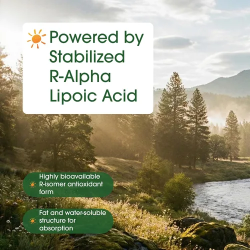 Vista 6 de NatureBell Ácido R-Alfa Lipoico, 1,200mg, 90 Cápsulas Vegetarianas Solo R-ALA Puro Estabilizado Alta Absorción y Soporte Antioxidante Sin