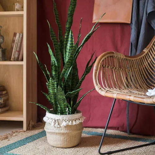 Vista 5 de Bird Fiy Plantas artificiales de serpientes de 30 pulgadas, Agave sintético, Sansevieria, planta artificial de seda para decoración del hogar Verde