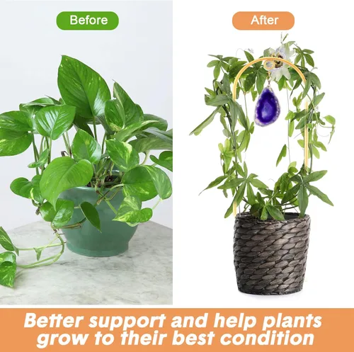 Vista 5 de Zopeal Paquete de 4 enrejados pequeños de metal para plantas de interior de 17 pulgadas, mini enrejado dorado para jardín, estaca de soporte