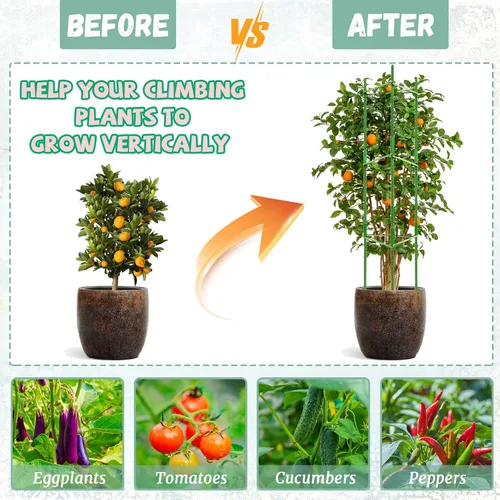 Vista 6 de Legigo Paquete de 2 jaulas de tomate para soporte de plantas de jardín, estacas de jardín de hasta 48 pulgadas, enrejado de tomate para plantas