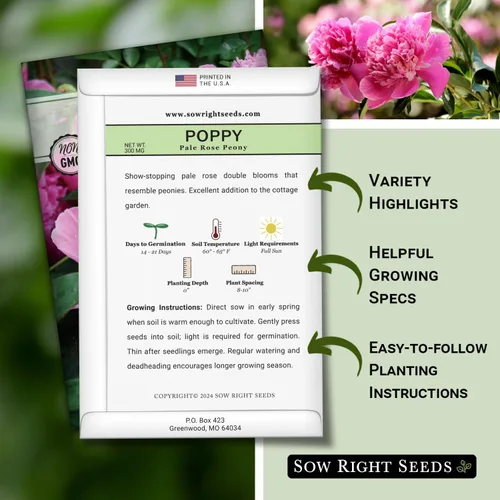 Vista 2 de Sow Right Seeds - Semillas de amapola de peonía de rosa pálida para plantar - Variedad anual de reliquia sin OMG - Hermosas flores de amapola