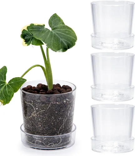 Vista 22 de Maceta Phoenix Vine de 3.5 pulgadas de acrílico transparente con bandeja, maceta para orquídeas con agujeros de drenaje, platillo profundo