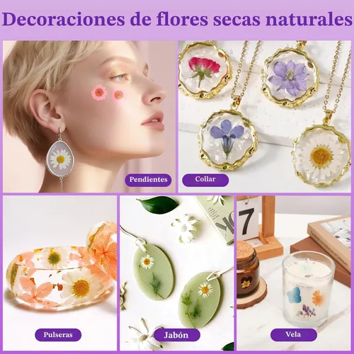 Vista 7 de Flores secas prensadas para resina, 103 piezas de flores secas naturales