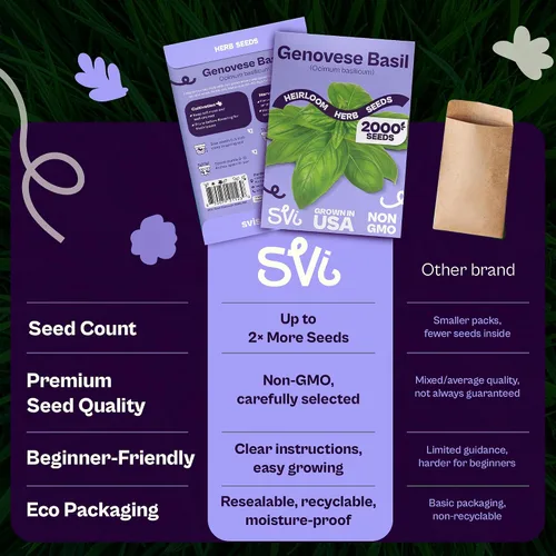 Vista 6 de SVI 2000 semillas de albahaca genovesa (Ocimum basilicum) - Paquetes de semillas de albahaca dulce - Semillas aromáticas de hierbas culinarias