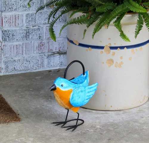 Vista 2 de Regadera Bluebird