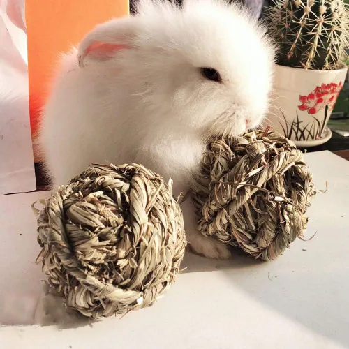 Vista 7 de Hamiledyi Pelota masticable de conejo Timothy Grass Molienda de animales pequeños, juguete masticable para conejos, conejos, hámster, conejillos