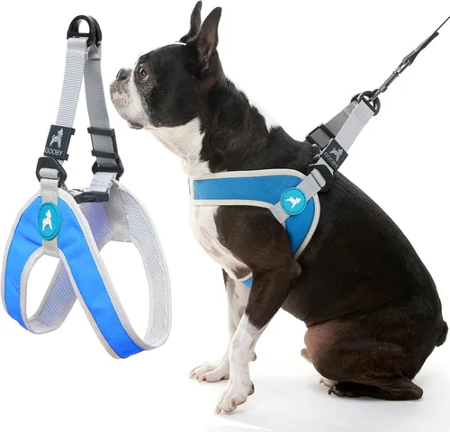 Vista 4 de Gooby Simple Step in III - Arnés para perro, verde, extra pequeño - Arnés para perros pequeños con chaqueta exterior resistente a los rasguños
