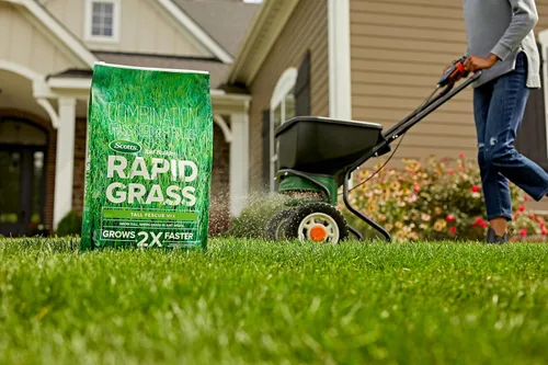 Vista 12 de Scotts Turf Builder Rapid Grass - Mezcla de festuca alta, 16 libras.