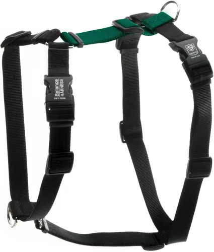 Vista 12 de Arnés Blue-9 con Hebilla para Cuello, Ajuste Completamente Personalizable, Arnés Antijalón, Ideal para Entrenamiento y Obediencia de Perros Azul