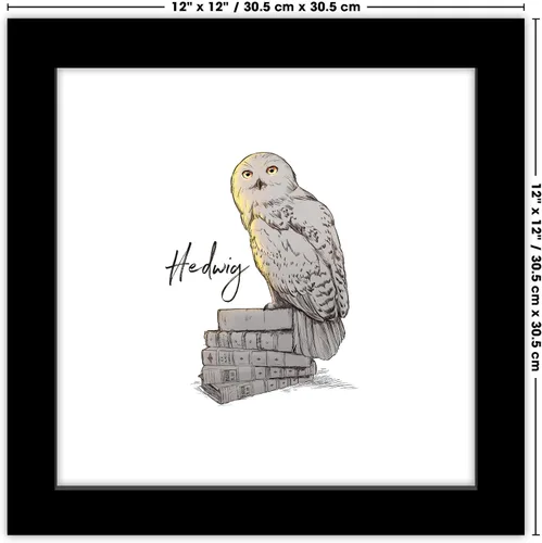 Vista 6 de Gallery Pops Harry Potter - Arte de pared Glimmer Hedwig, versión enmarcada negra, 12 x 12 pulgadas Versión con marco negro
