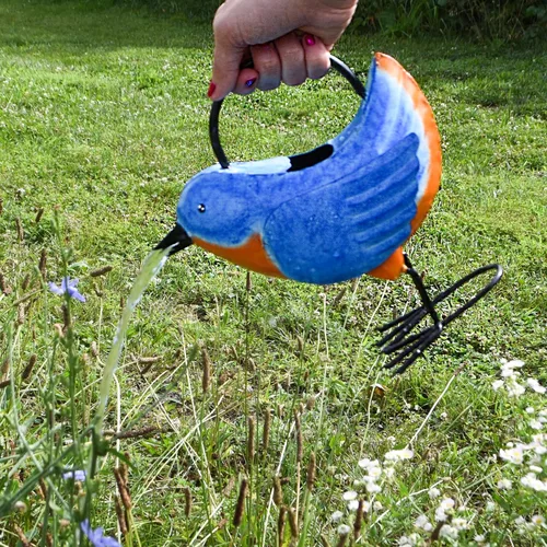 Vista 7 de Regadera Bluebird