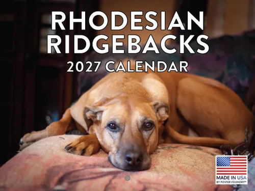 Vista 103 de Calendario mensual de pared Airedale Terrier Dog 2027