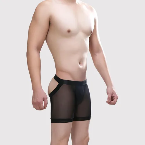 Vista 2 de Evankin Calzoncillos tipo bóxer sexy para hombre, ropa interior de seda de hielo, ropa interior de malla, transparente, lencería sin culo