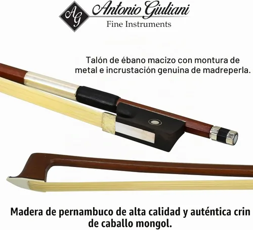 Vista 5 de Violín Bunnel G1 de tamaño 1/2 con estuche de transporte y accesorios incluidos - Madera maciza de arce y accesorios de ébano de Kennedy Violins