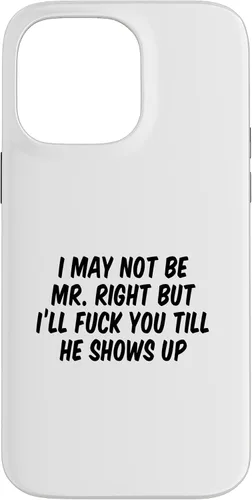 Vista 21 de I May Not Be Mr. Right But I’ll Fuck You Till He Shows Up Case for iPhone 17
