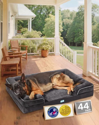 Vista 19 de OhGeni Cama ortopédica refrescante para perro, sofá refrescante para mascotas grandes con espuma viscoelástica, lavable a máquina, funda extraíble
