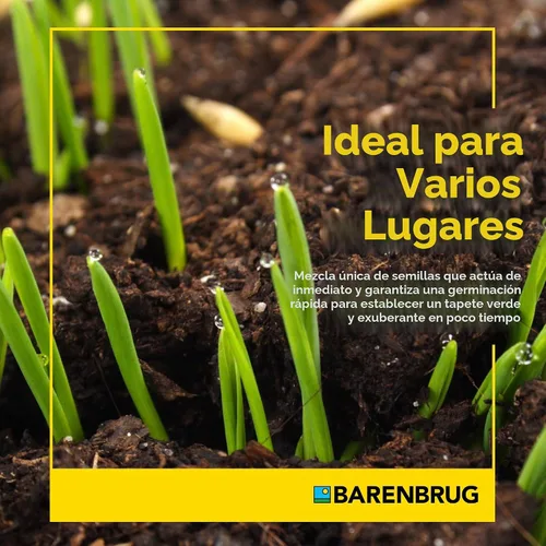 Vista 2 de Barenbrug Wonderlawn Bermuda - Semilla de césped sin cáscara para temperaturas y climas tropicales, semillas de bermudas duraderas sin cáscara
