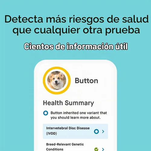 Vista 3 de Embark Prueba de ADN para perros de raza pura: más de 270 condiciones genéticas de salud, 55 rasgos físicos, coeficiente de endogamia (COI)