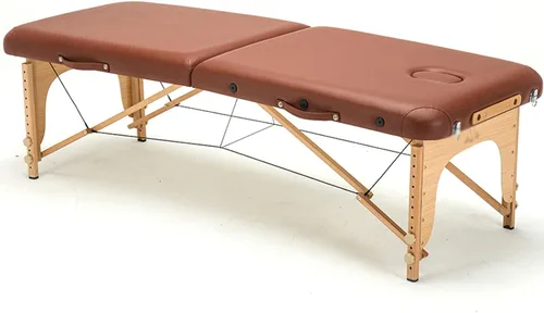 Vista 13 de Mesa de masaje profesional, 2 camas plegables con reposacabezas + reposabrazos + bolsa de hombro para extensiones de pestañas, spa, mesa de tatuaje