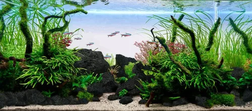 Vista 6 de LANDEN Kueiyang Hornwood para acuascaping, decoración de madera flotante de acuario, ramas naturales (12-14 pulgadas, 30-35cm), 4