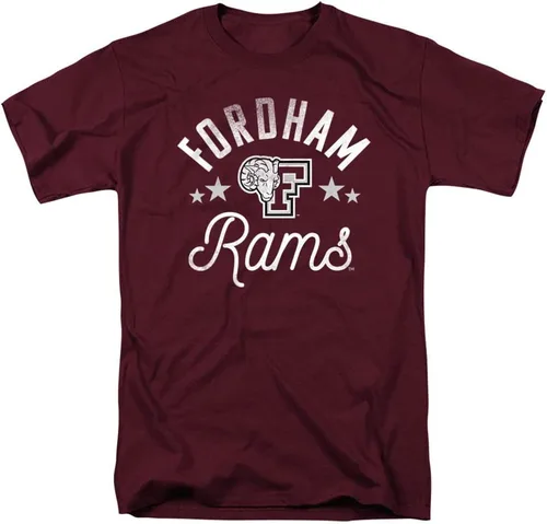 Vista 138 de Collegiate Distressed Mascot Unisex Adult T Shirt Collection 3 Universidad de Adelphi