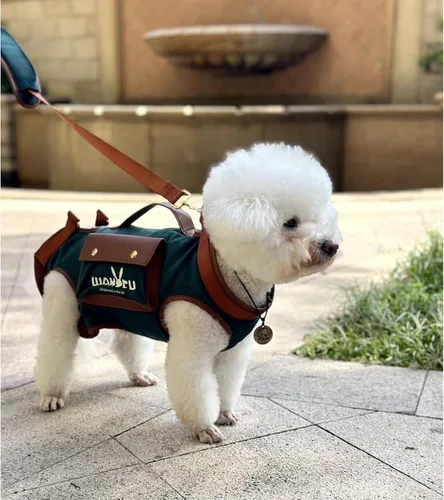 Vista 3 de Wakytu Arnés de elevación para perro, arnés VES ajustable para perro, correa ajustable para perro con bolsa pequeña para golosinas para cachorros