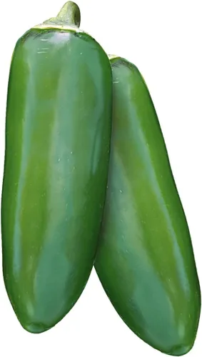 Vista 10 de Burpee Big Guy - Semillas de pimiento picante, 30 semillas