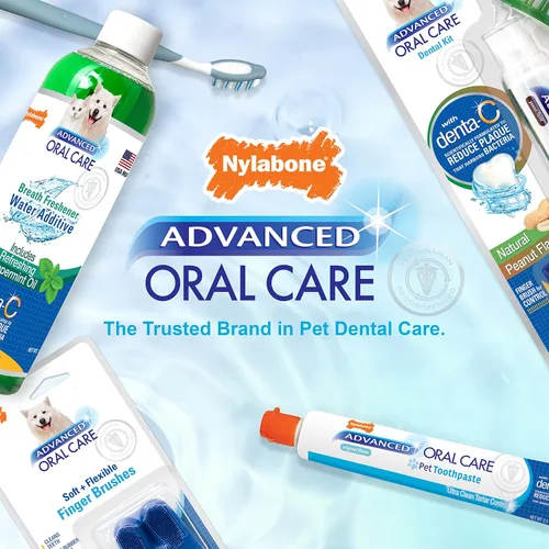 Vista 7 de Set dental del cuidado oral avanzado de Nylabone, Estándar, Adulto, Blanco, azul