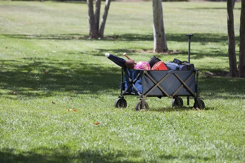 Vista 3 de PICNIC TIME Adventure - Carro plegable plegable para exteriores, carrito portátil con ruedas, carrito todo terreno con cubierta de almacenamiento
