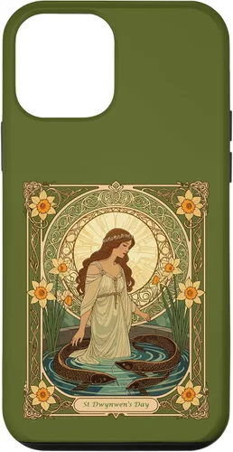 Vista 16 de Dwynwen's Well and Sacred Fish Case for iPhone 17