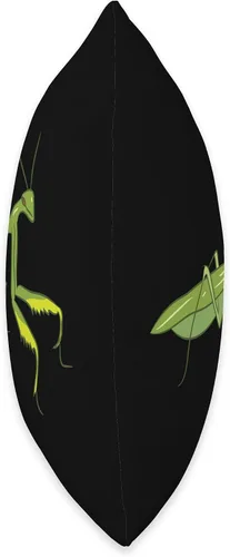 Vista 2 de Linda mantita rezando Mantis Tees And Gifts Cute Love Funny Oring Mantis Throw Pillow 16x16, Multicolor