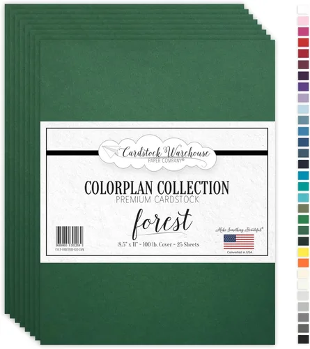 Vista 15 de Cardstock Warehouse Colorplan Amatista púrpura – 8.5 x 11 pulgadas – 100 libras / 9.52 oz/m² de papel de cartulina mate premium – 25 hojas