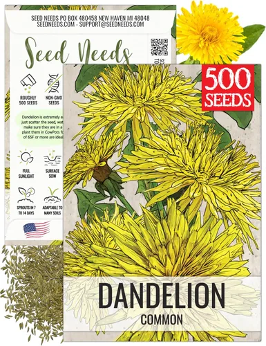 Vista 9 de Seed Needs - Semillas de achicoria para plantar flores azules de diente de león italiano, 1 paquete