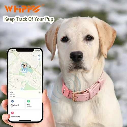 Vista 2 de WHIPPY Airtag Collar de Cuero para Perro Rastreador GPS Air Tag Collar de Cachorro Ajustable de Cuero Suave Acolchado con Estuche Porta Airtag