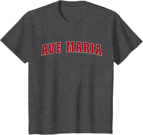 Vista 31 de Ave Maria FL Florida - Camiseta, Negro