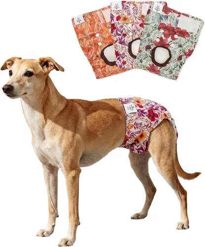 Vista 20 de CuteBone - Pañales para perras, paquete de 3 unidades para perritos, talla XS, D14XS