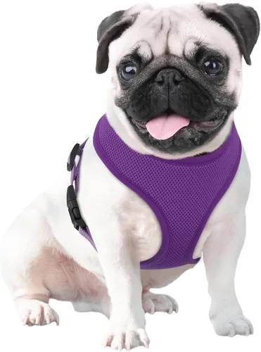Vista 12 de MoNiBloom Arnés para perro de tamaño pequeño, chaleco acolchado suave para cachorros para caminar, correr, entrenar - negro, XS